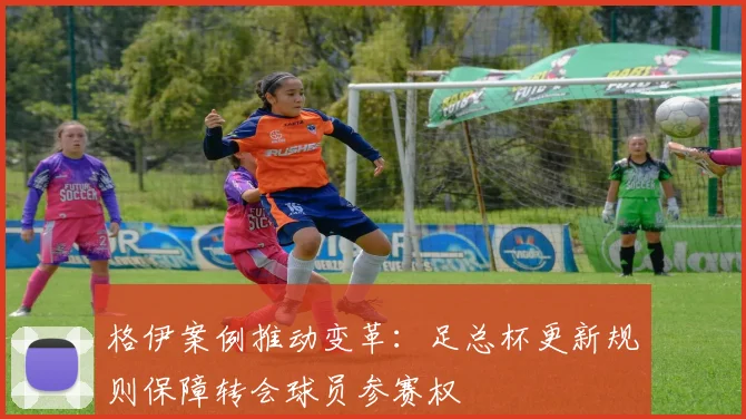 格伊案例推动变革：足总杯更新规则保障转会球员参赛权